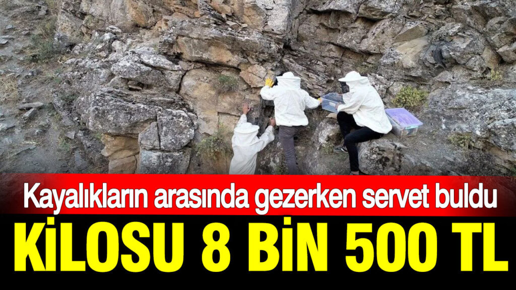 haber-gorseli-1786371884119